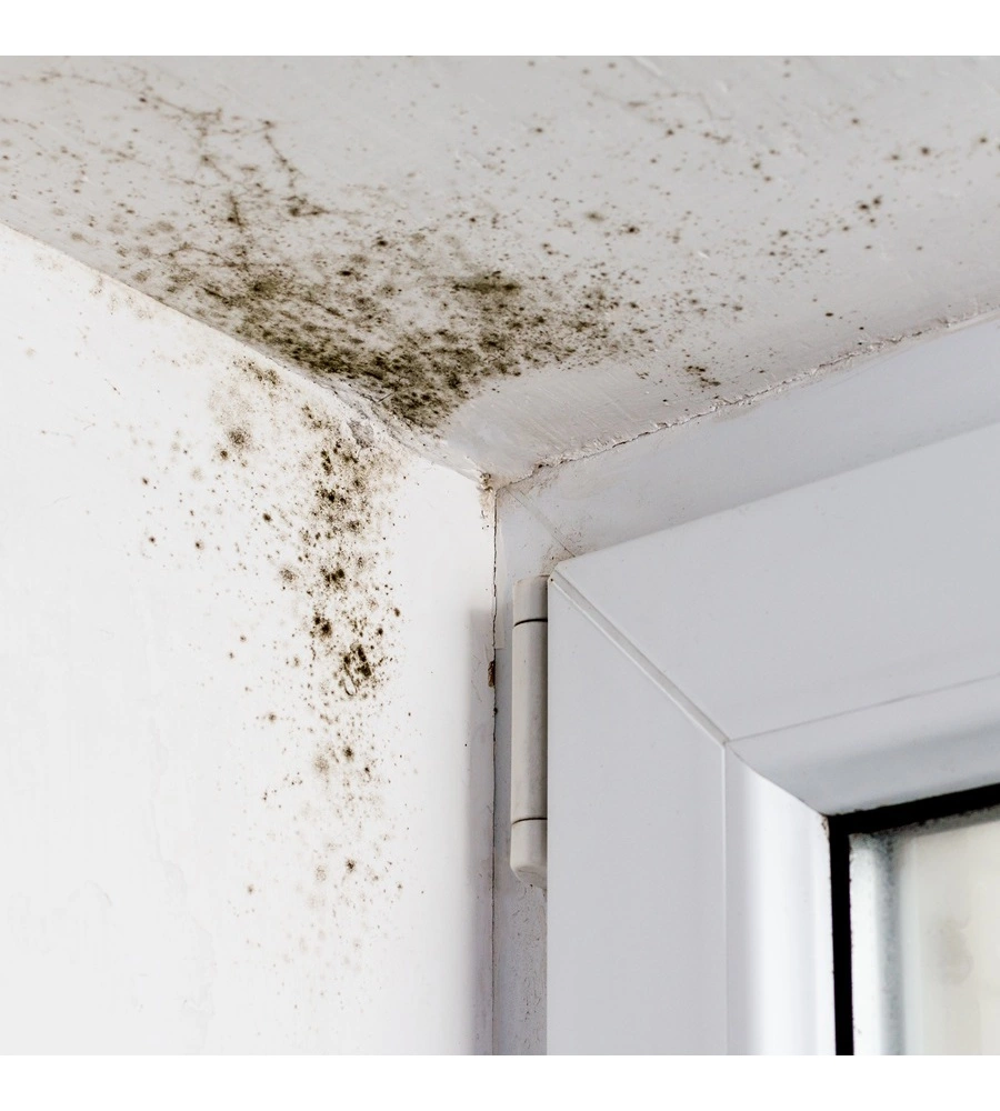 PITTURA ANTIMUFFA MAX MEYER "BIOACTIVE A+" BIANCO 14LT