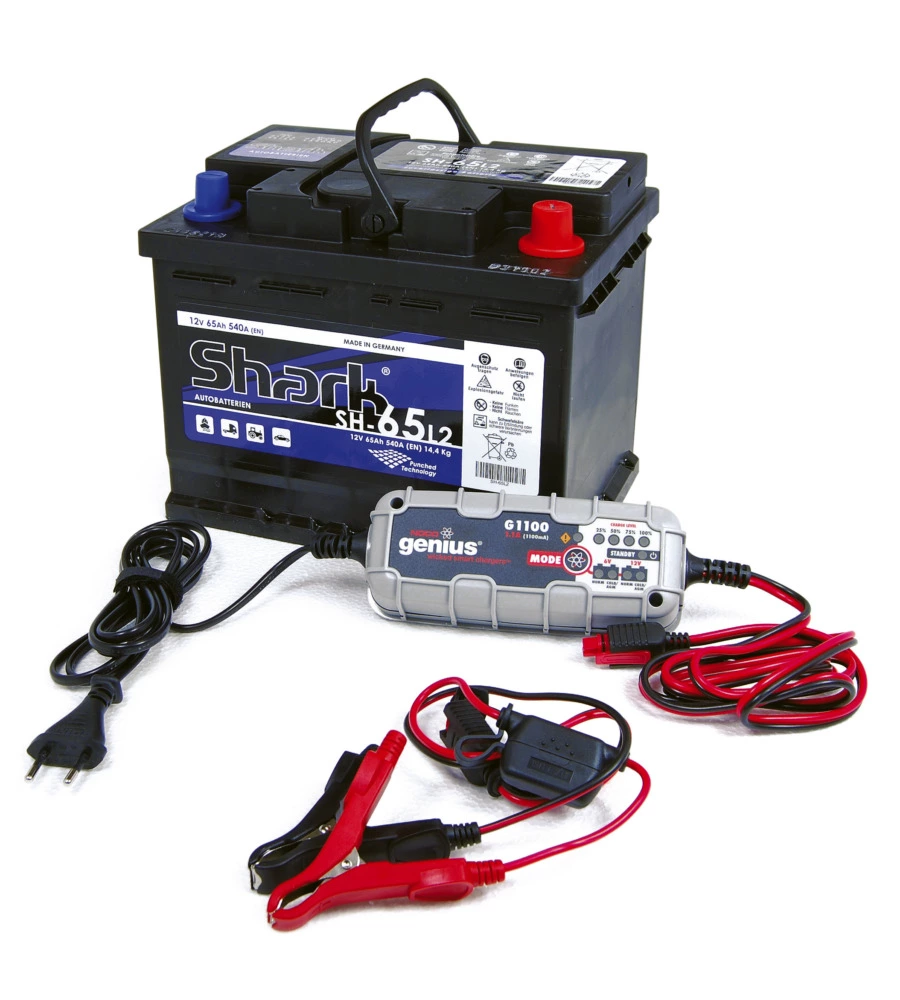 ABBACCHIATORE OLIVE BLUE BIRD "EGEO 23-50 AT" CON KIT BATTERIA E CARICABATTERIA 12V