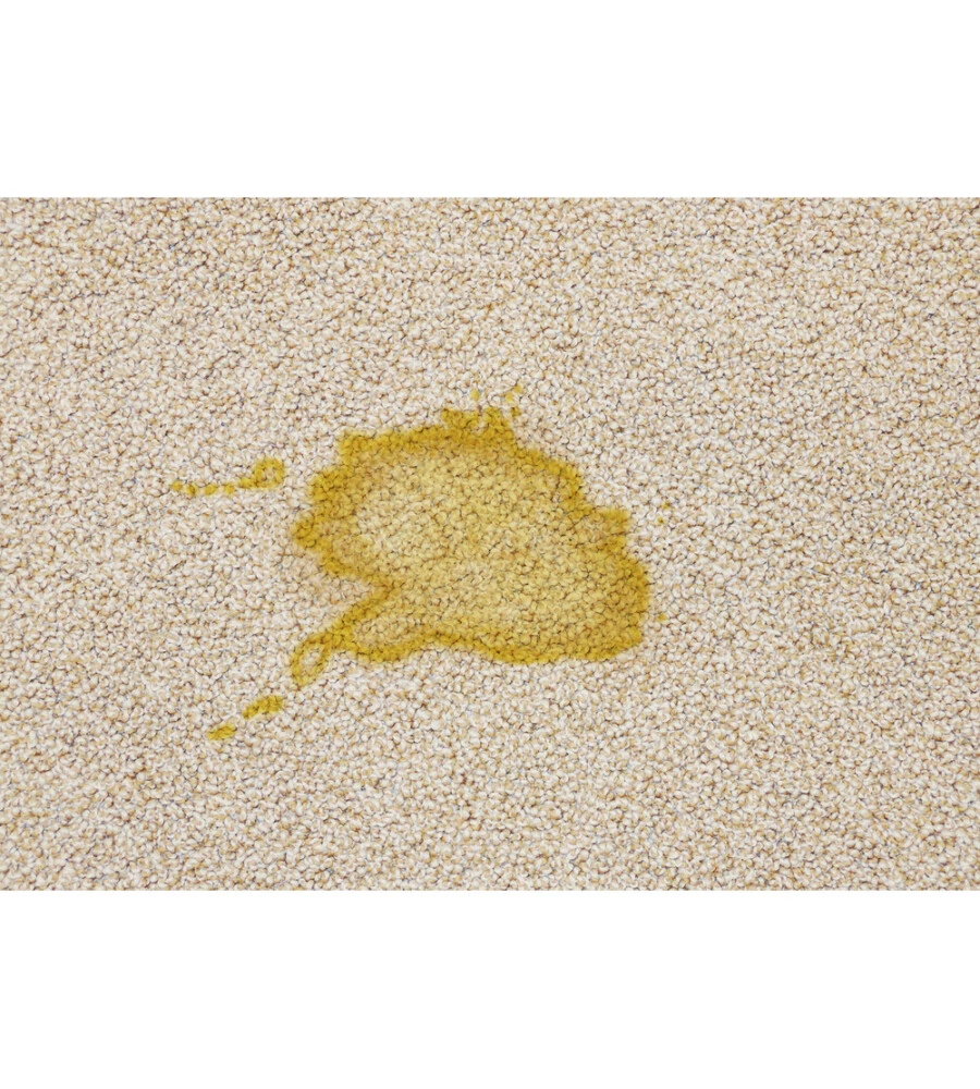 Kit pulizia animali in auto TurtleWax