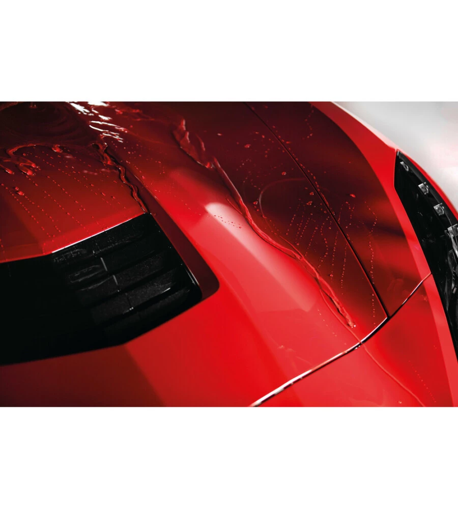 Cera lucidante TurtleWax "Espress" 500 ml