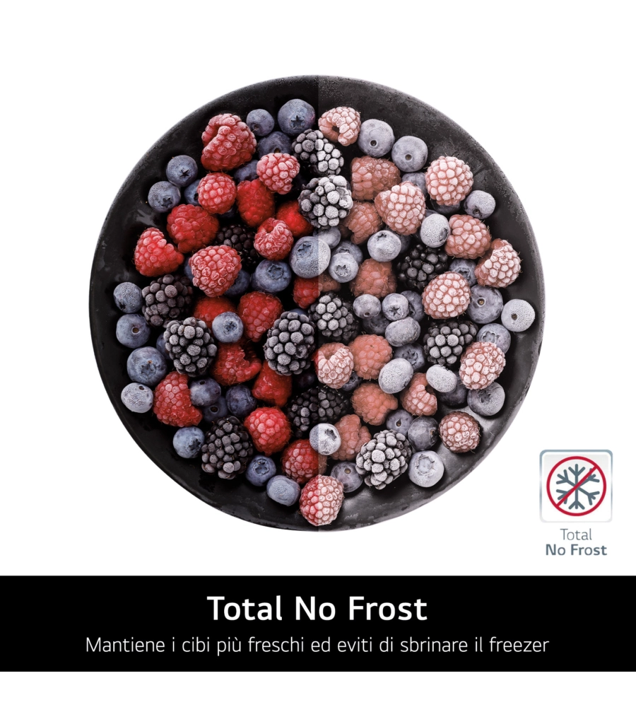 FRIGORIFERO A LIBERA INSTALLAZIONE LG "NATURE FRESH" 344 LT 59,5X68,2,186 CM - COD. GBV21L0EPY