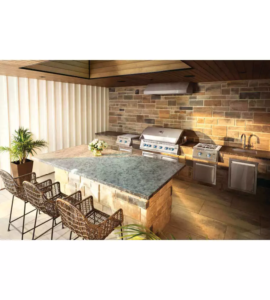 BARBECUE A GAS DA INCASSO NAPOLEON "SERIE 700 44 " GRIGIO 8 BRUCIATORI