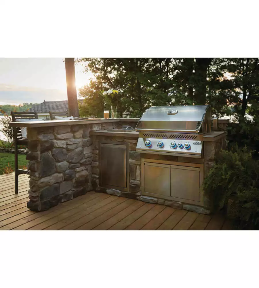 BARBECUE A GAS DA INCASSO NAPOLEON "SERIE 700 32" GRIGIO 5 BRUCIATORI