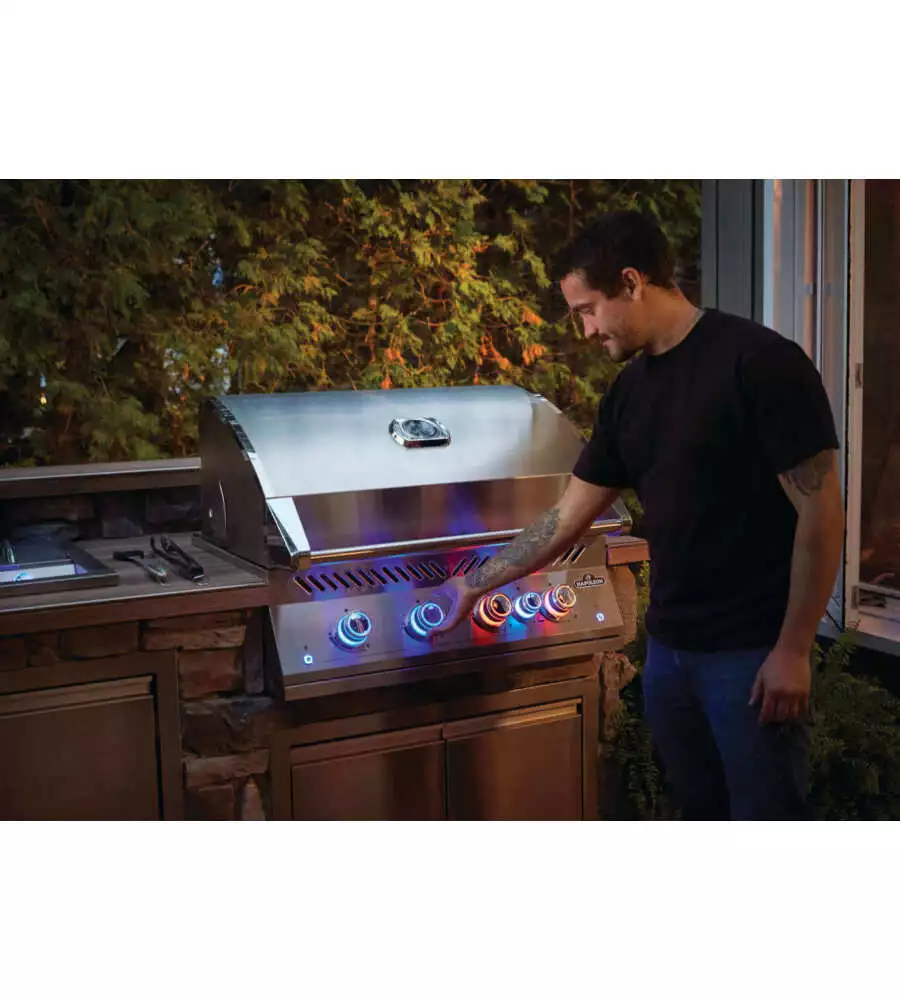 BARBECUE A GAS DA INCASSO NAPOLEON "SERIE 700 32" GRIGIO 5 BRUCIATORI