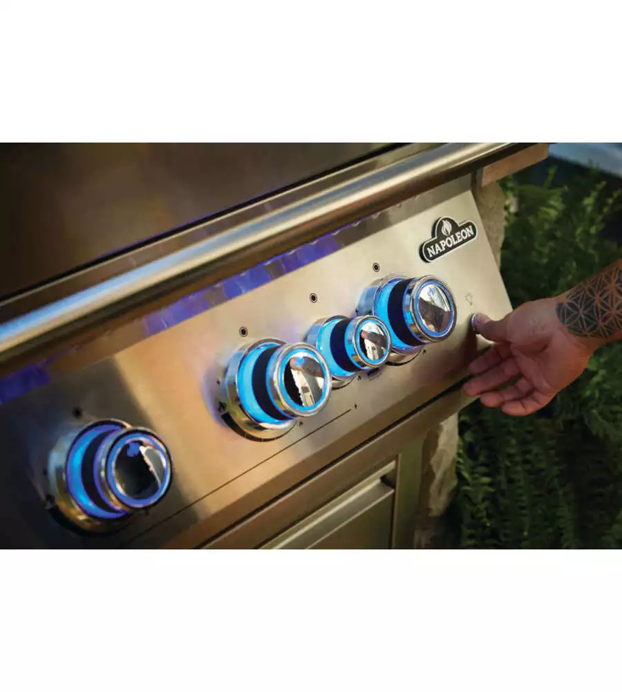 BARBECUE A GAS DA INCASSO NAPOLEON "SERIE 700 32" GRIGIO 5 BRUCIATORI