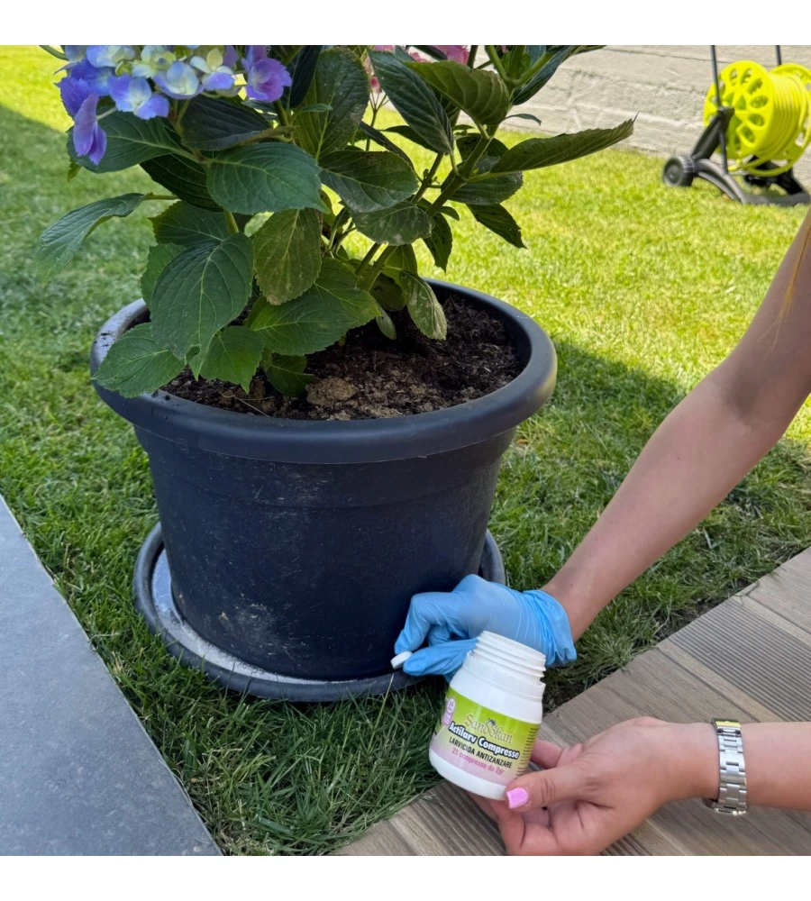 Larvicida antizanzare Sandokan "Actilarv" 100 compresse