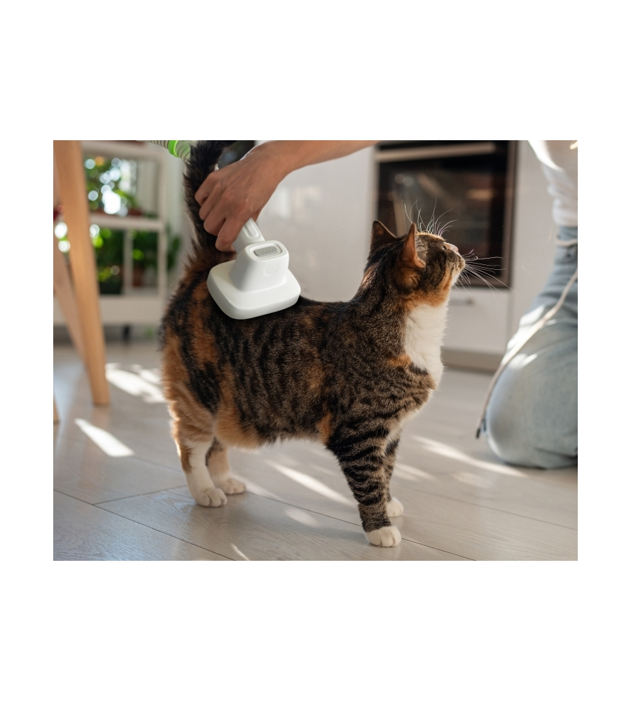 SET TOILETTATURA LIFENAXX "PET CARE SET LX-052" 350 W