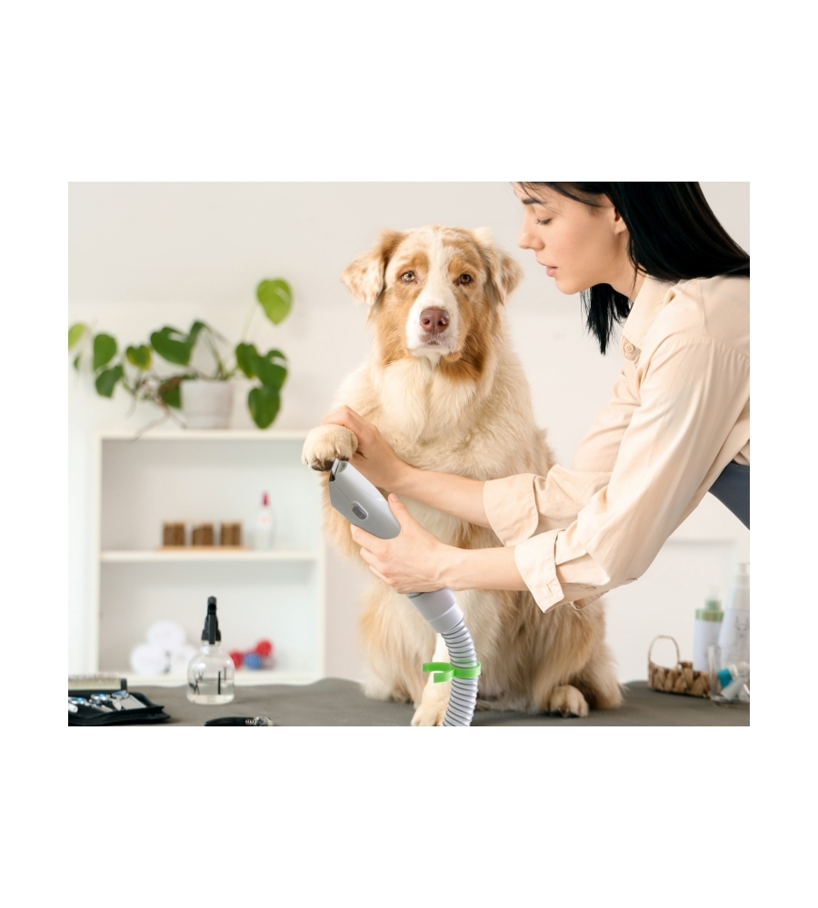 SET TOILETTATURA LIFENAXX "PET CARE SET LX-052" 350 W