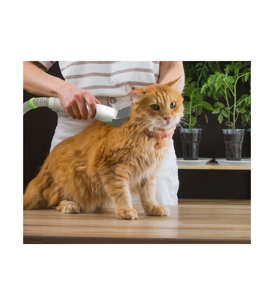 SET TOILETTATURA LIFENAXX "PET CARE SET LX-052" 350 W