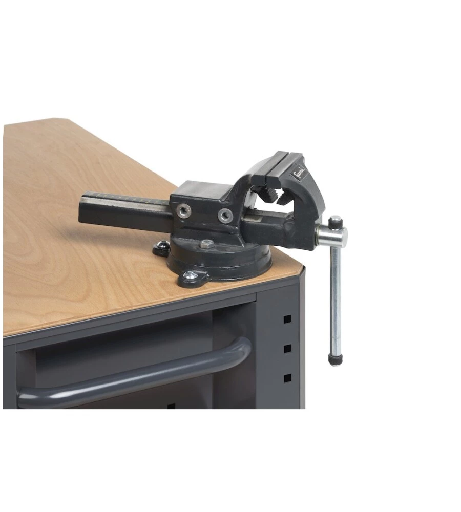 MORSA PROFESSIONALE PER CARRELLO DA OFFICINA FAMI 391 GANASCIA L 100 APERTURA 125MM