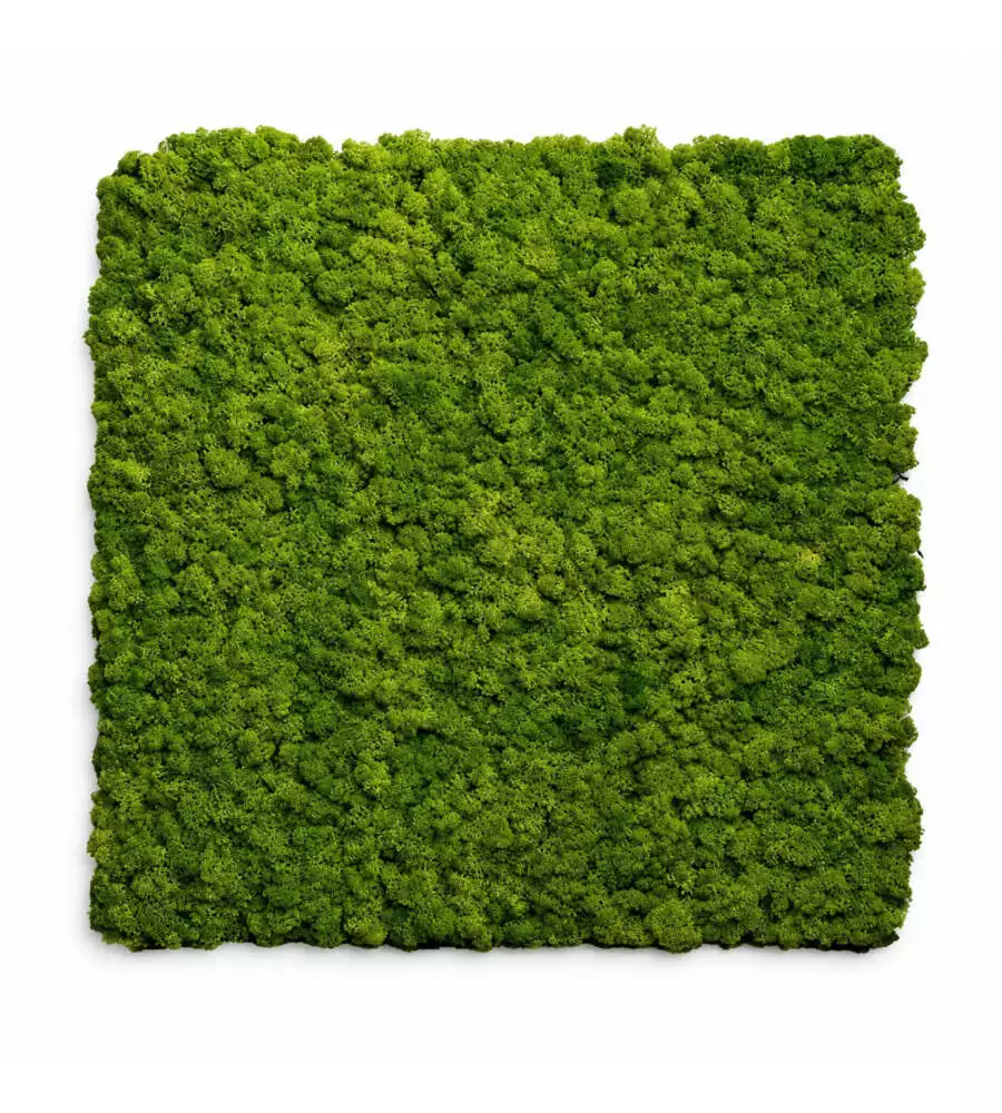 Rivestimento murale fonoassorbente Divina Home in muschio sintetico verde 60x2,1x60 cm 2 pezzi