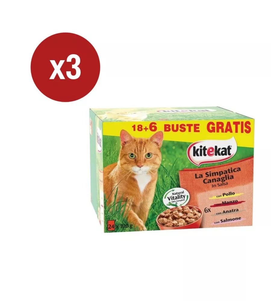 Alimento umido per gatto monodose KitKat "La simpatica canaglia" 3 confezioni da 24x85 gr