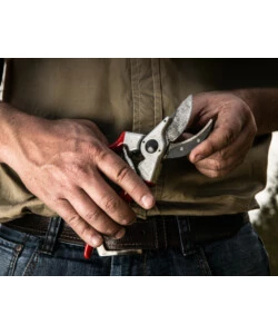 FORBICE CESOIA DA POTATURA FELCO 2
