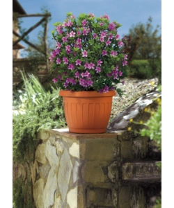 VASO TERRA D. 20 TERRACOTTA