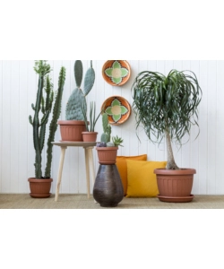 VASO TERRA D. 20 TERRACOTTA