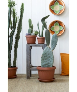 VASO TERRA D. 20 TERRACOTTA