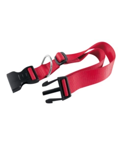CLUB C15/44 ROSSO COLLARE - FERPLAST.