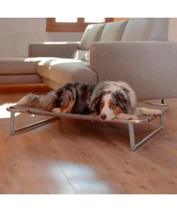CUCCIA LETTINO PER CANI "DREAM 100" IN ALLUMINIO, 105X63X18 CM - FERPLAST