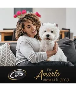 CESAR - UMIDO PER CANI MANZO E VERDURINE 150 GR