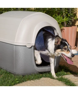 PORTA PER CUCCE FERPLAST "KENNY 07" IN PLASTICA TRASPARENTE 32,6X0,2X53,5 CM