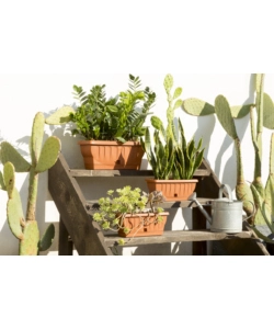 FIORIERA NATURA CM. 30 TERRACOTTA