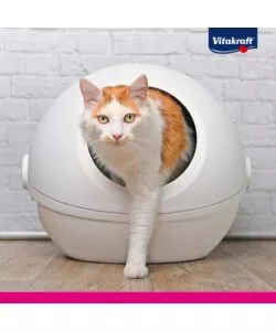 LETTIERA SABBIA GATTO SILICIO VITAKRAFT "MAGIC CLEAN" 5 LITRI