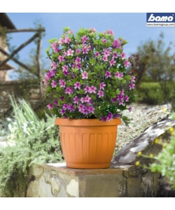 VASO TERRA D. 15 TERRACOTTA