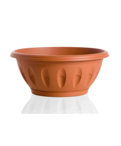 CIOTOLA ALBA D. 20 TERRACOTTA