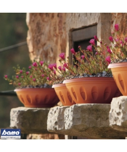 CIOTOLA ALBA D. 40 TERRACOTTA