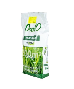 MISCUGLIO PRATO INGLESE 5 KG