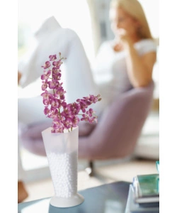 VASO LIVING TRASPARENTE