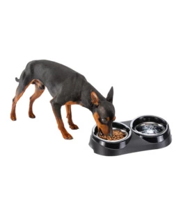 PORTACIOTOLE E CIOTOLE PER CANI E GATTI "DUO FEED 01", 38,5X20X9 CM - FERPLAST