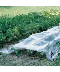 TELO FORZATURA TRASPARENTE 2X10M