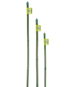 CANNA BAMBOO PLASTIFICATA H60CM