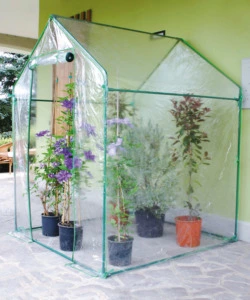 SERRA DA GIARDINO A CASETTA "FRANCESCA" CON TELO IN PVC, 155X155X205 CM