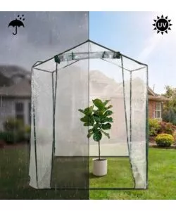 Serra da esterno EuroGarden "Francesca" 155x155x205 cm