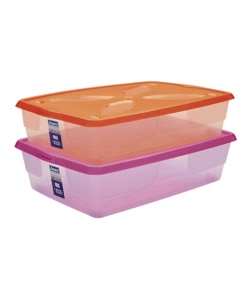 CONTENITORE IN PLASTICA CON COPERCHIO BAMA "LIGHT PICCOLO" LITRI 24, 60X40X15 CM