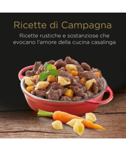 CESAR - UMIDO PER CANI MANZO E CAROTE IN SALSA 150 GR