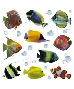 STICKERS M PESCI  - DECORO CREARREDA.