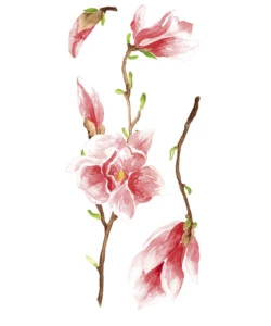 STICKERS S MAGNOLIA - DECORO CREARREDA.