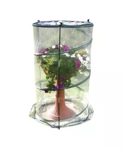 SERRA PER PIANTA VERDEMAX "ANTHURIUM POP-UP" 70X110 CM