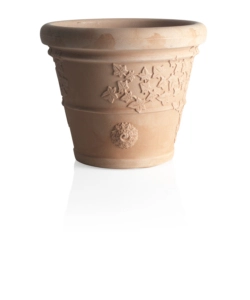 VASO VITE D. 30