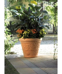 VASO VITE D. 30