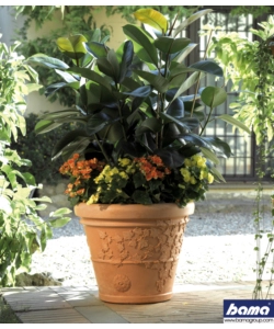 VASO VITE D. 60