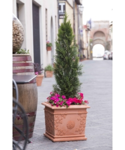 VASO VITE CM 44X44