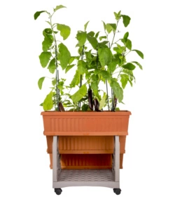 SET 3 FIORIERE CON CARRELLO BAMA TERRACOTTA 80X74X73 CM