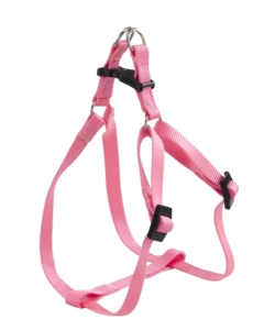 EASY P MEDIUM ROSA PETTORINA - FERPLAST.