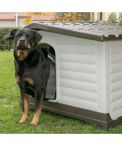 PORTA PER CUCCE FERPLAST "DOGVILLA 110" IN PLASTICA TRASPARENTE 29,6X0,2X46,9 CM