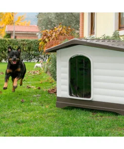 PORTA PER CUCCE FERPLAST "DOGVILLA 110" IN PLASTICA TRASPARENTE 29,6X0,2X46,9 CM