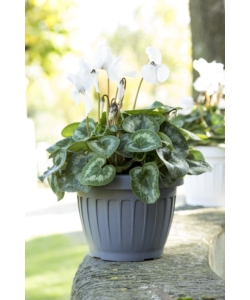 VASO TERRA  D. 25 GRIGIO